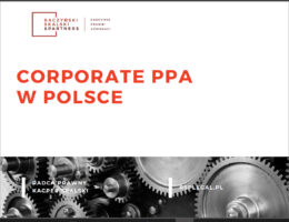 Szkolenie Corporate PPA (cPPA) w Polsce – case study